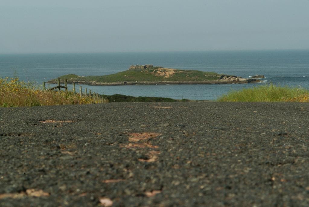 Parque De Campismo Da Ilha Do Pessegueiro Hotel Porto Covo Cameră foto